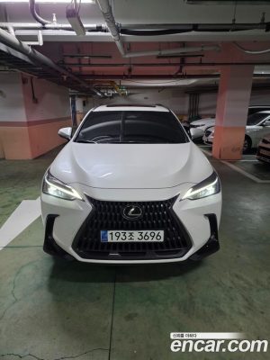 Lexus NX Premium 2025 года из Южной Кореи
