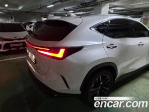 Lexus NX Premium 2025 года из Южной Кореи