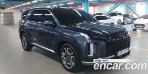 Hyundai Palisade Бензин 3.8 4WD 2024 года из Южной Кореи
