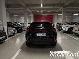 Lexus NX Premium 2025 года из Южной Кореи
