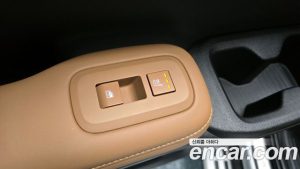 Hyundai Santafe HEV 1.6 2WD 2024 года из Южной Кореи