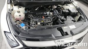 Kia Sportage Бензин 1.6 Turbo 2WD 2024 года из Южной Кореи