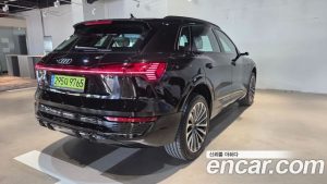 Audi Q8 e-tron 55 4WD Premium 2024 года из Южной Кореи