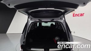 Hyundai Santafe HEV 1.6 2WD 2025 года из Южной Кореи