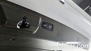 Hyundai Santafe HEV 1.6 2WD 2024 года из Южной Кореи