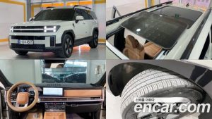 Hyundai Santafe HEV 1.6 2WD 2024 года из Южной Кореи