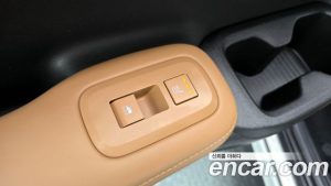 Hyundai Santafe HEV 1.6 2WD 2024 года из Южной Кореи