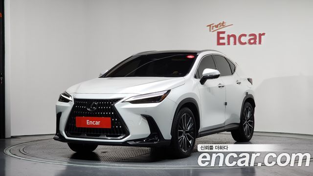 Lexus NX Luxury 2025 года из Кореи