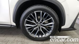 Lexus NX Luxury 2025 года из Южной Кореи