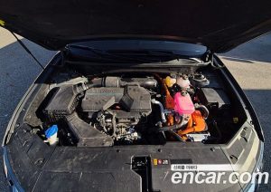Hyundai Tucson HEV 1.6 2WD 2024 года из Южной Кореи