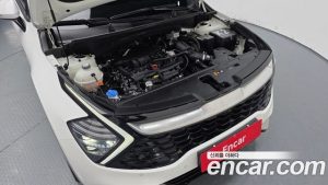 Kia Sportage Бензин 1.6 Turbo 2WD 2024 года из Южной Кореи