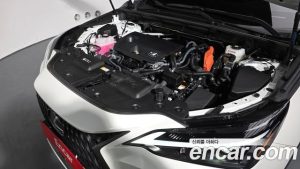 Lexus NX Premium 2025 года из Южной Кореи