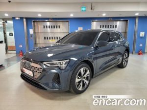 Audi Q8 e-tron 55 4WD 2024 года из Южной Кореи