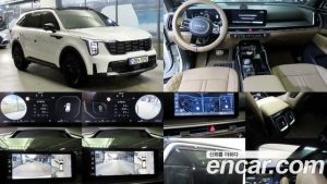 Kia Sorento HEV 1.6 2WD 2024 года из Южной Кореи
