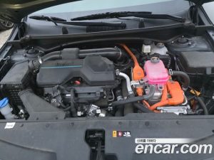 Kia Sportage Signature 2WD 2024 года из Южной Кореи