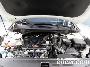 Kia Sportage Бензин 1.6 Turbo 2WD 2024 года из Южной Кореи