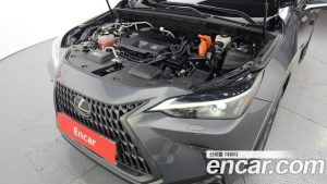 Lexus NX Premium 2022 года из Южной Кореи