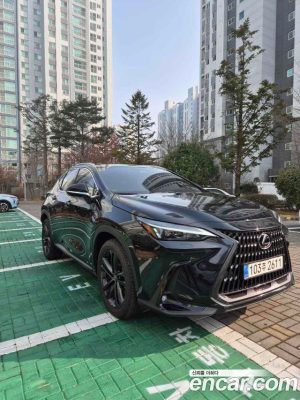 Lexus NX Premium 2025 года из Южной Кореи