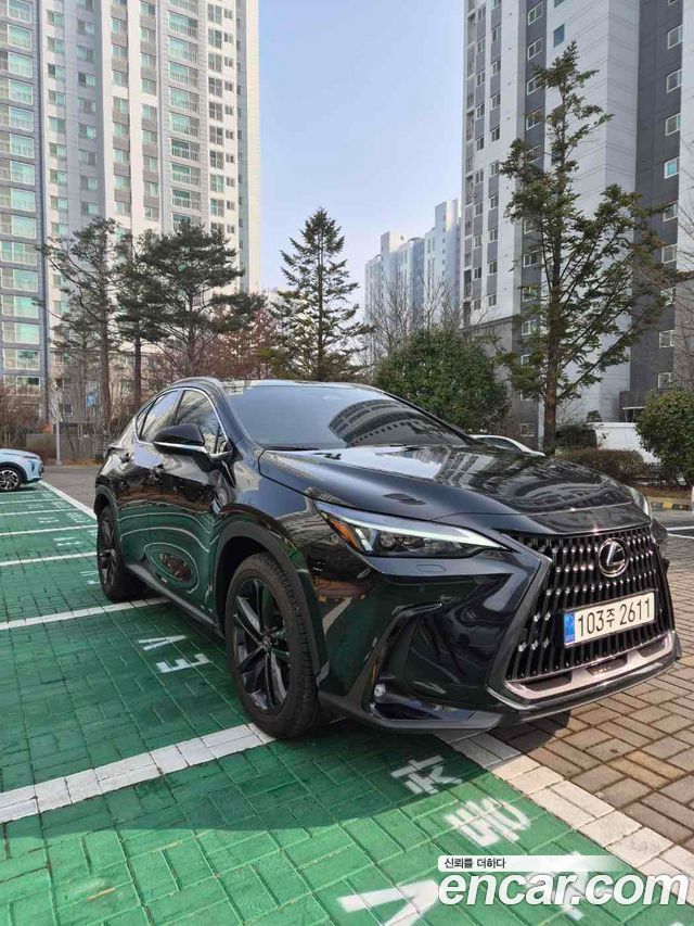 Lexus NX Premium 2025 года из Кореи