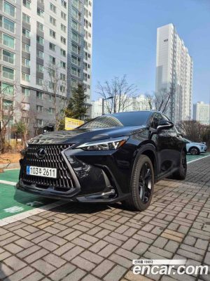 Lexus NX Premium 2025 года из Южной Кореи