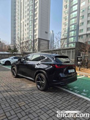 Lexus NX Premium 2025 года из Южной Кореи