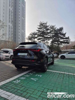 Lexus NX Premium 2025 года из Южной Кореи