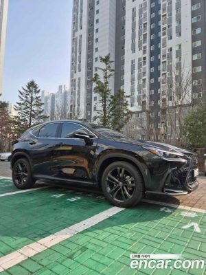 Lexus NX Premium 2025 года из Южной Кореи