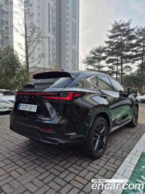 Lexus NX Premium 2025 года из Южной Кореи