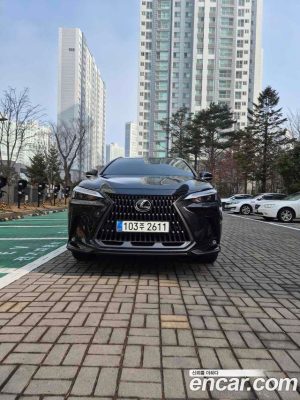 Lexus NX Premium 2025 года из Южной Кореи
