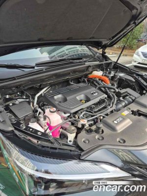 Lexus NX Premium 2025 года из Южной Кореи