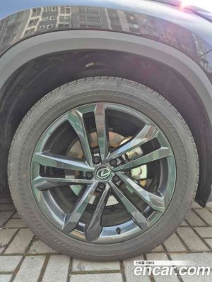 Lexus NX Premium 2025 года из Южной Кореи