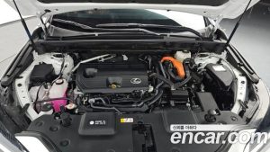 Lexus NX Premium 2025 года из Южной Кореи