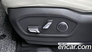 Hyundai Santafe HEV 1.6 2WD 2024 года из Южной Кореи