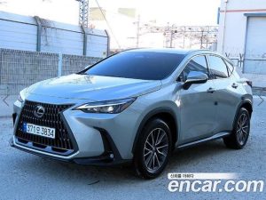 Lexus NX Premium 2024 года из Южной Кореи