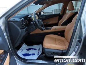 Lexus NX Premium 2024 года из Южной Кореи